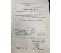 Nhà cấp 4 - 188/3ATrần Bình Trọng P3 Q5