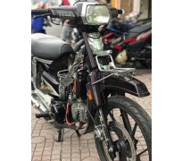 XE KIỂNG CHO ANH EM ĐAM MÊ  SUPER DREAM 2008 